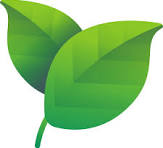 Icono de hoja para ingredientes naturales