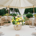 Centro de Mesa Sostenible de Cera "Malta"