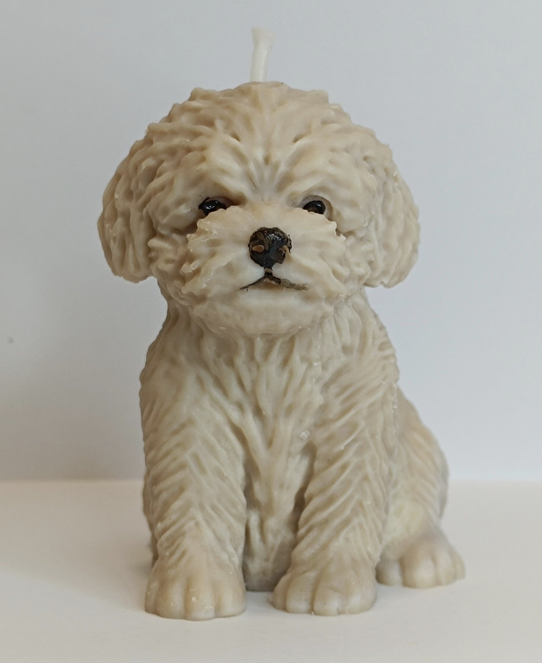 Vela Perro de pelo rizado. Escultura de lujo de cera vegetal, souvenir 100% ecológico para cumpleaños de adultos y dueños de mascotas.